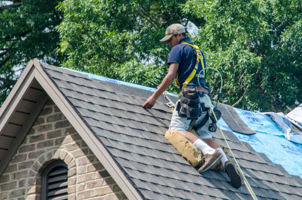 Best Roof Gutter Cleaning  in Fort Polk South, LA
